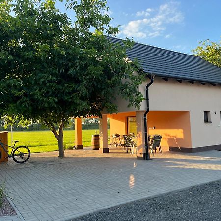 Rekreacni Dum U Jezer, Milovice 6 Vila Exterior foto