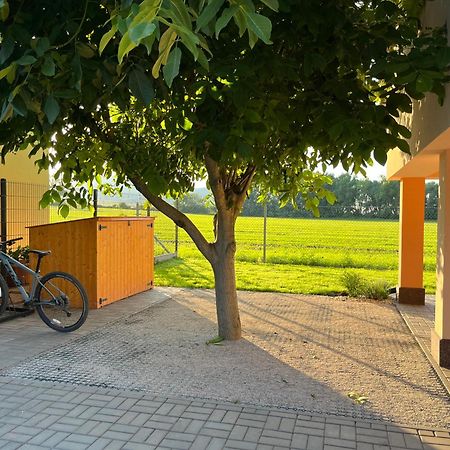 Rekreacni Dum U Jezer, Milovice 6 Vila Exterior foto